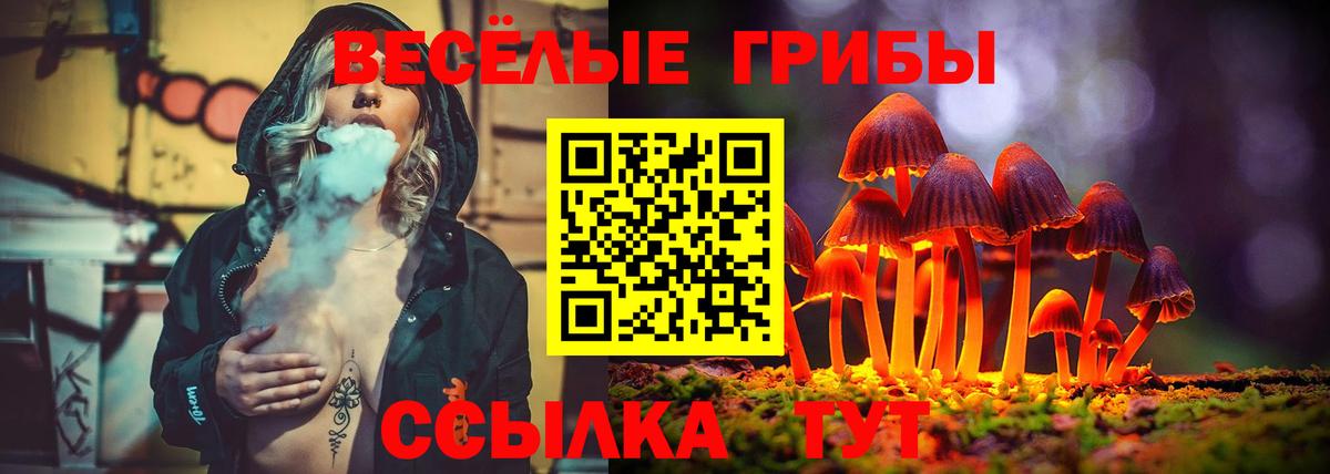 Галлюциногенные грибы мицелий  Вход с VPN  Галлюциногенные грибы MAGIC MUSHROOMS  Острогожск 